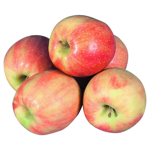 Metro Chef FUJI alma 3,5kg